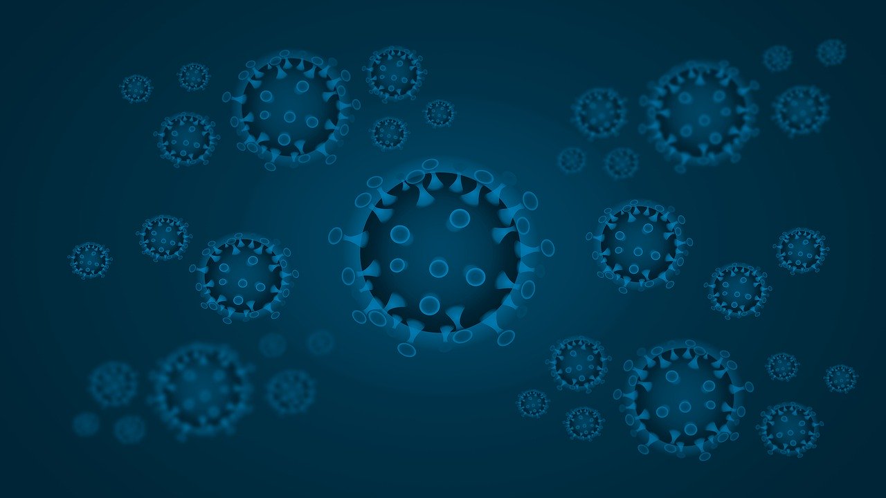 Erreger abwehren und Immunsystem stärken, aufbauen und ausgleichen