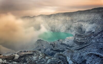 MSM lindert Schmerz, Entzündung und Allergie