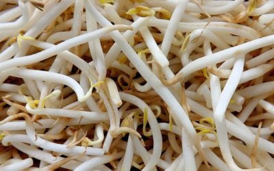 Vitamin B2 hilft der Sehkraft und gibt Energie