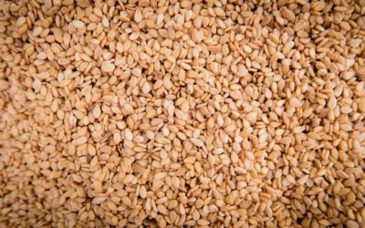 Zink wirkt gegen Stress und erhöht Testosteron